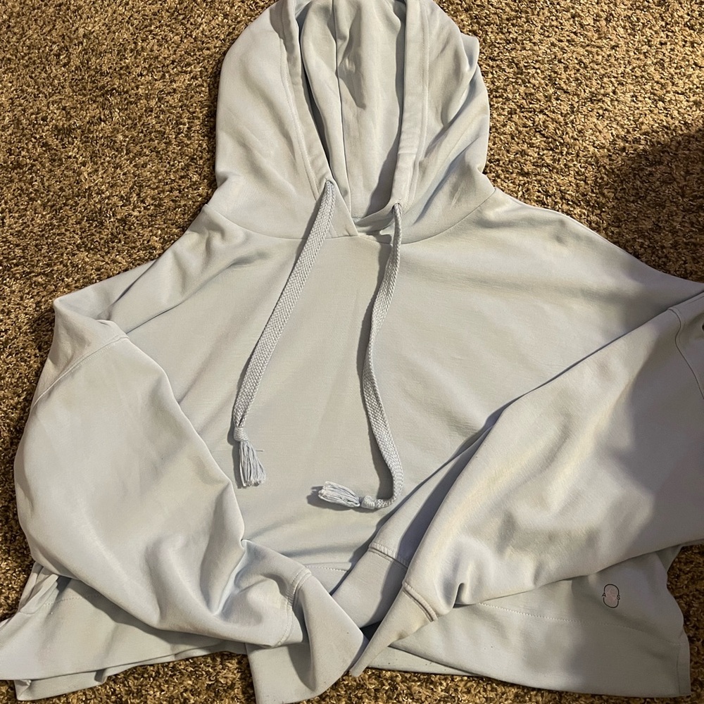 Altard State Revival Cropped Hoodie